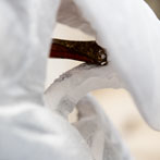 Ben Russell - The Dorset Stone Carver